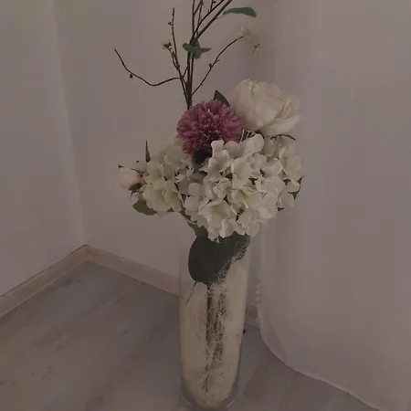 Apartman Martina Sun